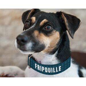 Cadeaux.com Collier pour chien Personnalisable - Papattes