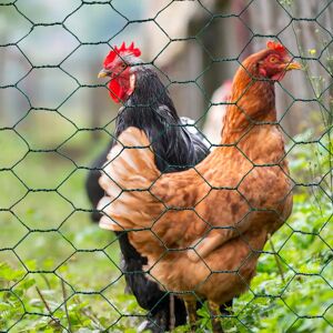 IDMarket Grillage à poule vert 1x25m clôture souple jardin animaux