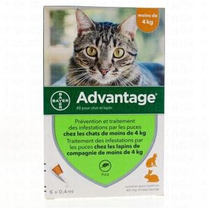 Bayer Advantage 40 Pour Chat Et Lapin De Moins De 4kg 4x0.4ml 6 Pipettes X 0,4ml - Publicité