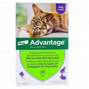 Bayer Advantage 80 Pour Chat Et Lapin De 4kg Et Plus 4x 0.8ml - Publicité