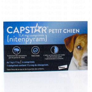 Petit chien 6 comprimés