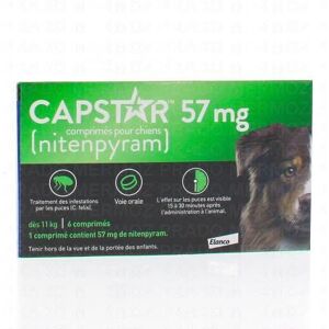 Capstar chien comprimés x6