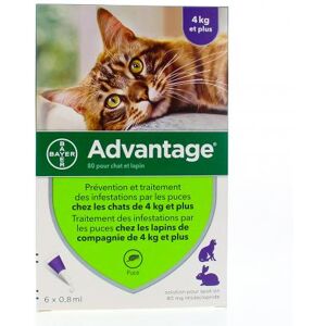 BAYER Advantage 80mg chat/lapin pipette 0.8ml x 6 - Publicité