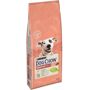 Dog Chow Adult Sensitive saumon riz pour chien 14 kg