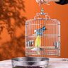 Une Petite Cage A Oiseaux En Inox Pour Oiseaux