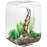 Oase - Aquarium 15l Led Transparent Life 15 Led Transparent