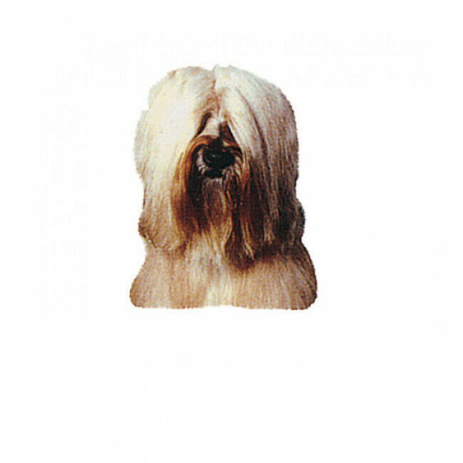 Difac Autocollant race Terrier du Tibet Crème 14 cm - Lot de 2