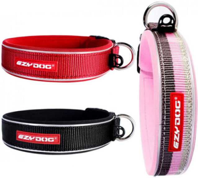 EzyDog Collier Ezydog Néo-Classic pour chien T1 Noir