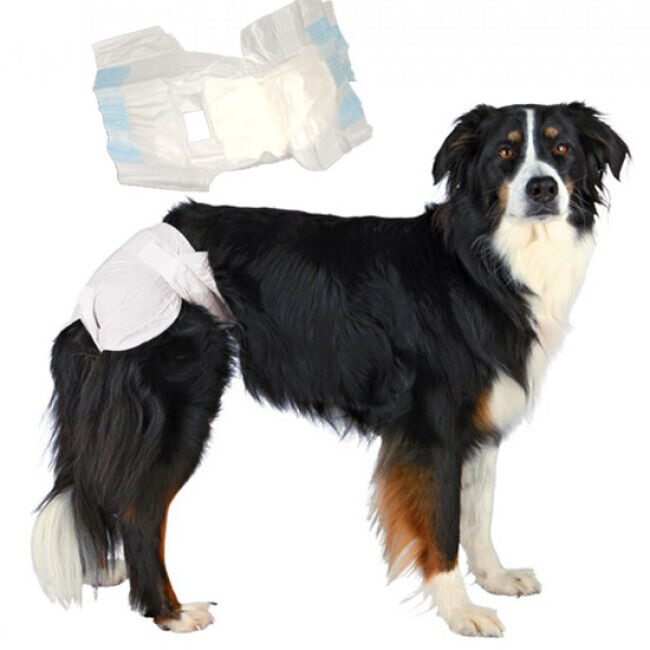 Trixie Couche culotte jetable blanche pour incontinence pour chienne paquet de 12 couches T00