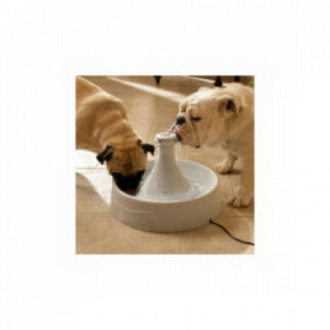 Petsafe Fontaine à eau pour chiens et chats Drinkwell 360° Petsafe 3,8 litres