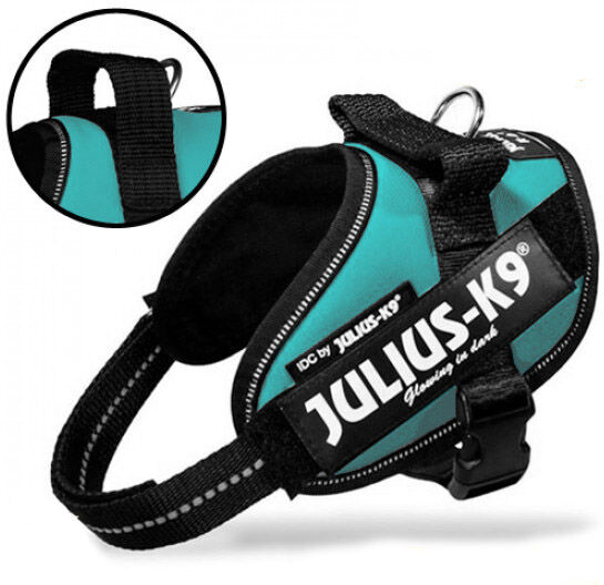 JULIUS-K9 Harnais Julius-K9 IDC pour chien Power Mini Mini Bleu