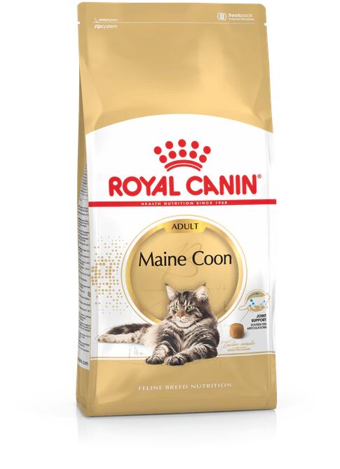 Royal Canin Maine Coon Adult pour chat 4kg