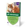 Advantage Spot On macskák részére 4 x 0,8 ml (Advantage 80)