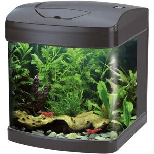 AMTRA Acquario Xcube Black Led 26L