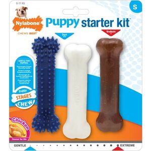 Nylabone Puppy Starter Kit Pollo S