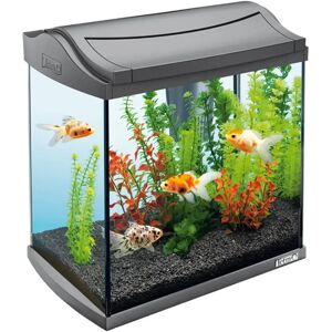 TETRA Aquaart Discovery Line Led 30l 30L