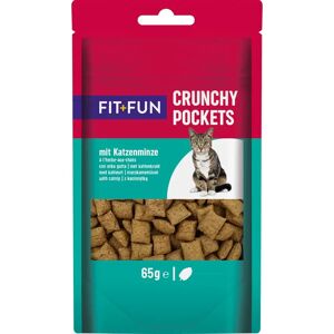 FIT AND FUN Crunchy Pocket 65G ERBA GATTA