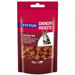 FIT AND FUN Crunchy Pocket 65G MANZO