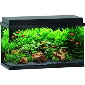 ANIONE Starter Kit per Acquario 80CM