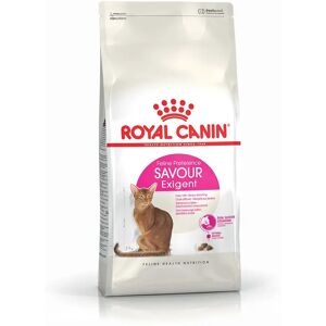 ROYAL CANIN Cat Exigent Savour Alimento completo secco per gatti adulti molto esigenti di oltre 1 anno di età. 10KG