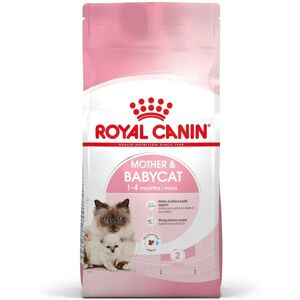 ROYAL CANIN Mother & Babycat Alimento completo per gatte e gattini da 1 a 4 mesi di età 4KG