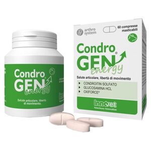 Condrogen Energy 60 Compresse Mastic