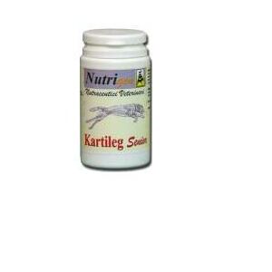 Kartileg Senior 120 Tavolette