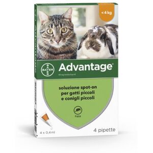 Advantix Advantage Spot On Gatti/Conigli 4X40 Mg   4 X 0,4Ml