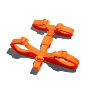 Zee.Dog Pettorina H Linea Neopro Tangerine S