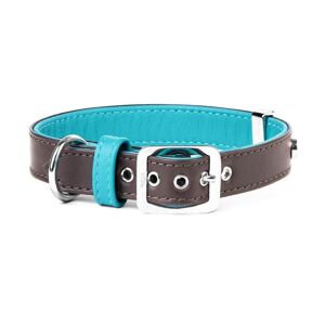 MyFamily Collare Hermitage in Pelle Testa di Moro e Turchese per Cani ML (37-45cm)