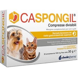 SHEDIR PHARMA Caspongil 30 Compresse Divisibili