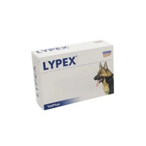 VETPLUS Lypex 60 Capsule
