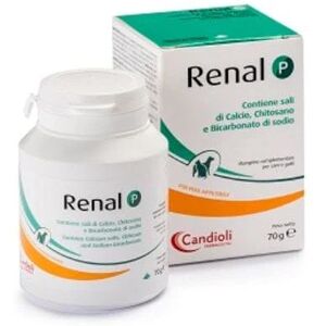 CANDIOLI Renal P Polvere Appetibile Cani Gatti 70 g