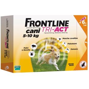 Boehringer Vet Frontline Frontline Tri-Act*6pip 5-10kg