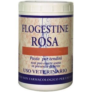 Fm Italia Group Srl Flogestine Rosa Pasta 1kg