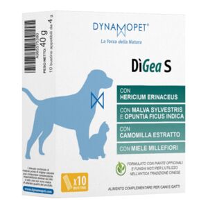 Dynamopet Srl Digea S 10 Bust.