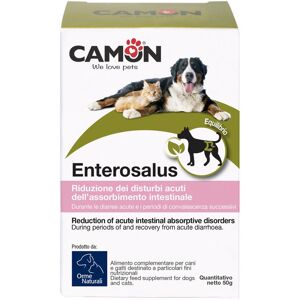 CAMON SpA ENTEROSALUS 20BUST 2.5G