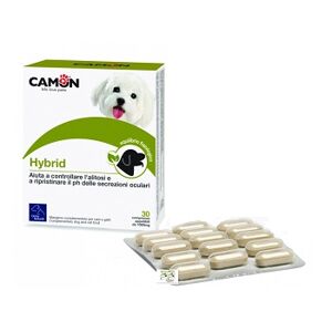 CAMON SpA HYBRID 30 Cpr