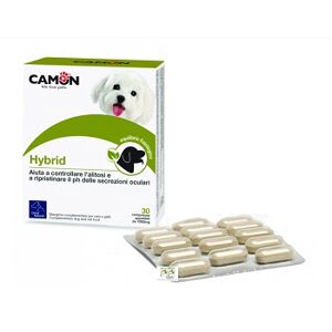 Camon Spa Hybrid 30 Cpr
