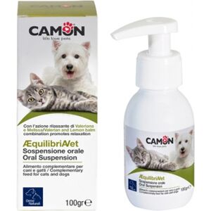 CAMON SpA EQUILIBRIA-VET PASTA SOSP ORAL