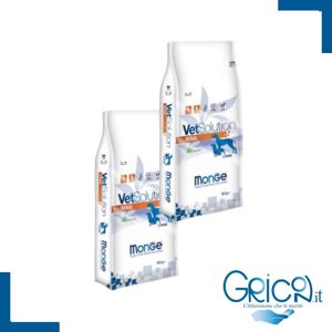 Monge Cane VetSolution Renal and Oxalate - 2+ sacchi