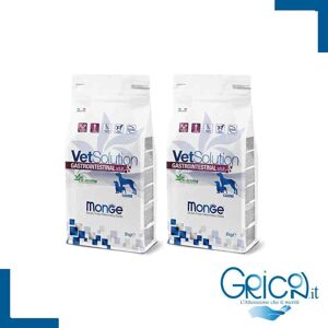 Monge Cane VetSolution Adult Gastrointestinal - 2+ sacchi