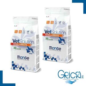 Monge Cane VetSolution Renal and Oxalate - 2+ sacchi