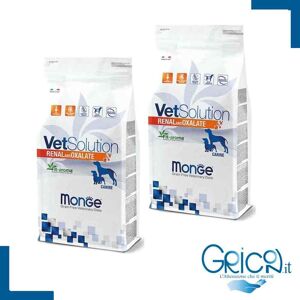 Monge Cane Vetsolution Renal And Oxalate - 2+ Sacchi