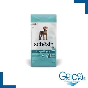 Schesir Cane Puppy Ricco in Pollo Large 12 Kg - 2+ sacchi