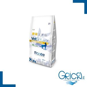 Monge Gatto VetSolution Urinary Oxalate - 2+ sacchi