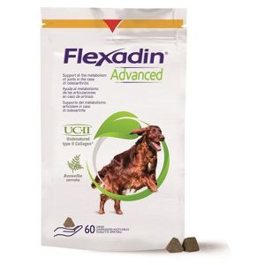 Flexadin Advanced Cane Metabolismo Articolare 60 Tavolette Appetibili
