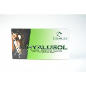 Equality Srl Hyalusol Aerosol Ambientale per Equini 10 Flaconi Monodose da 8ml - Idratante per L'ambiente dei Cavalli