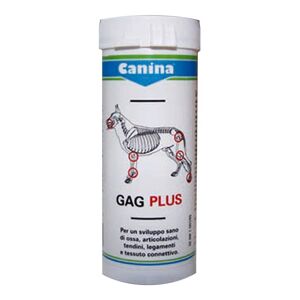 Drn Srl Gag Plus Integratore per Ossa e Articolazioni del Cane - 120 Tavolette, Supporto Completo per la Salute Articolare Canina