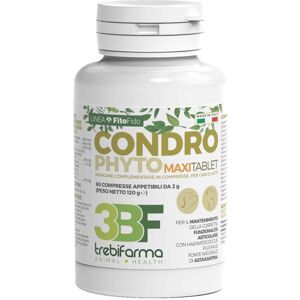 Trebifarma CONDROPHYTO 60CPR 2G